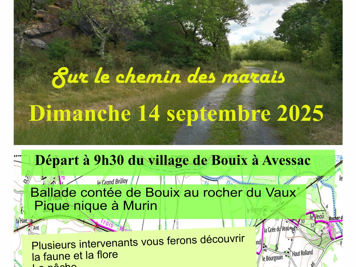 Le chemin des&nbsp;marais